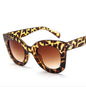 “Women’s Cat Eye Sunglasses – Fashionable UV Protection Eyewear” 🕶️✨ - GM Traders
