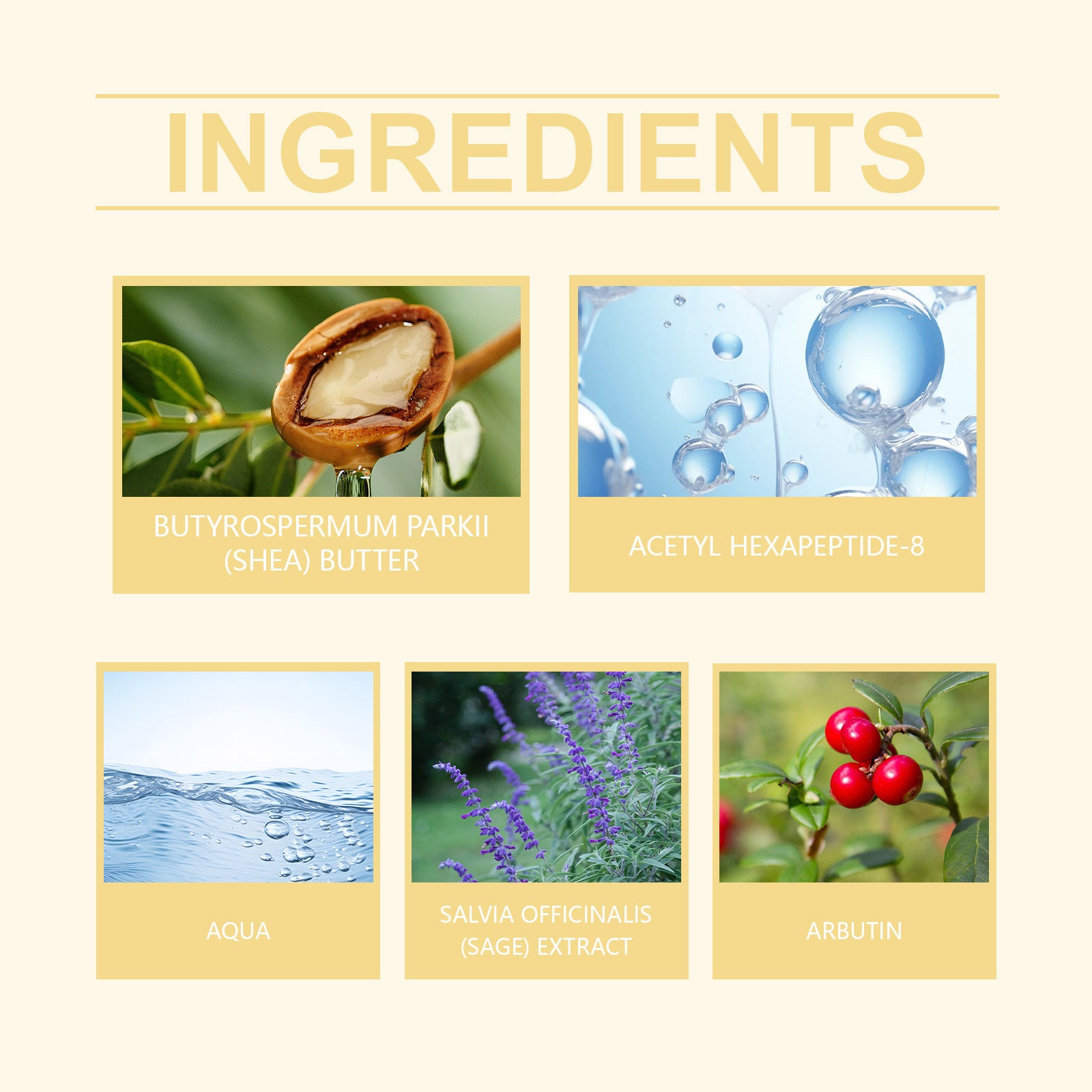 Advanced Firming Neck Cream with Shea Butter and Peptides - Anti-Wrinkle Neck Care | Skin Care Winter